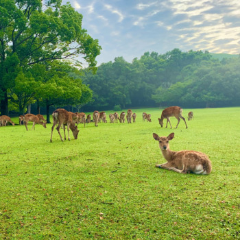 Best Free Lofi Music for YouTube Videos (Copyright Free) "Lofi Good feeling" from Hiro Nakanishi