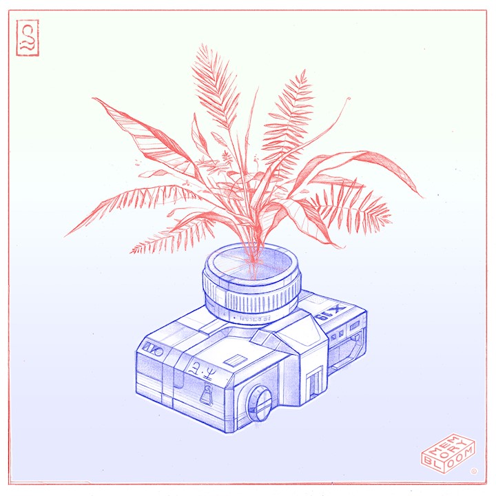 Goosetaf - Bumblebee