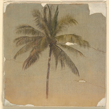 "Nino's Bossa" by Citrus Avenue