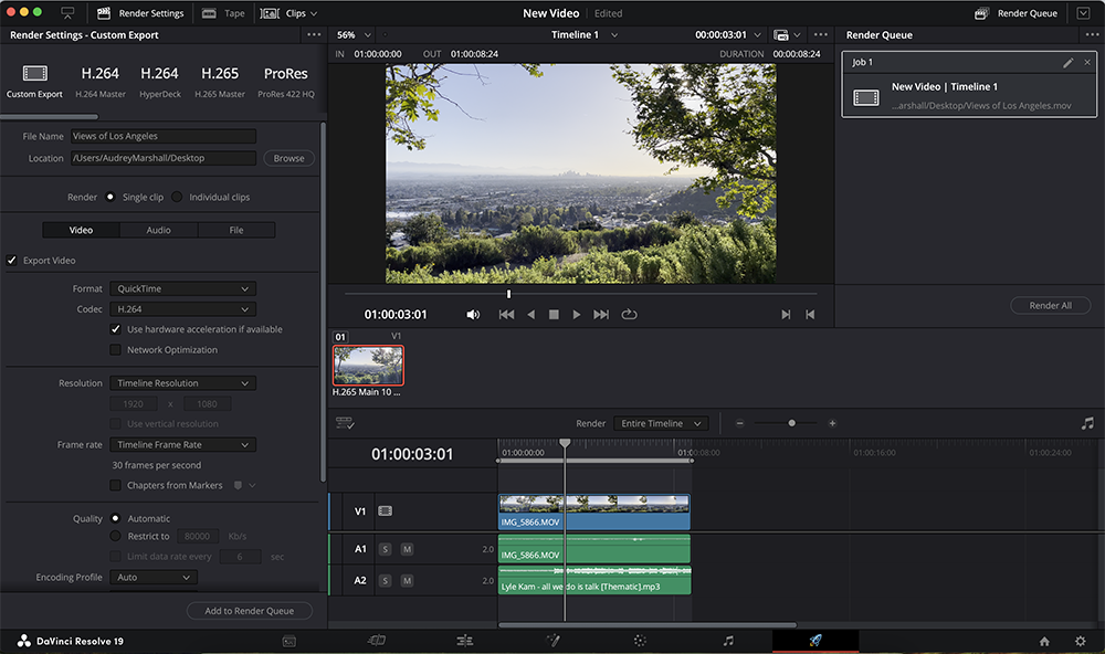 Add Music to DaVinci Resolve: Render and Export Video
