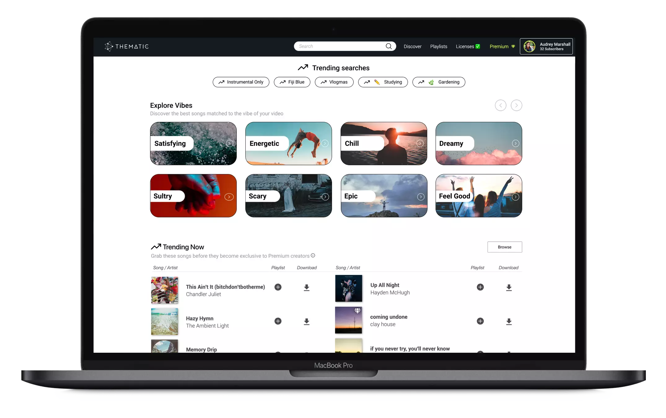 About Thematic Thematic